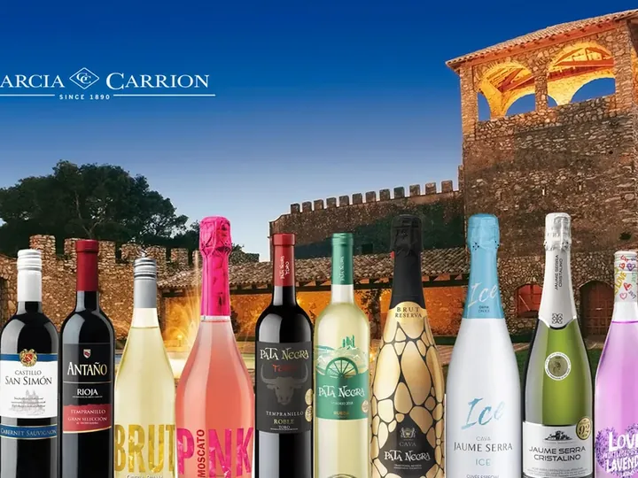 A line-up of Spanish wine bottles